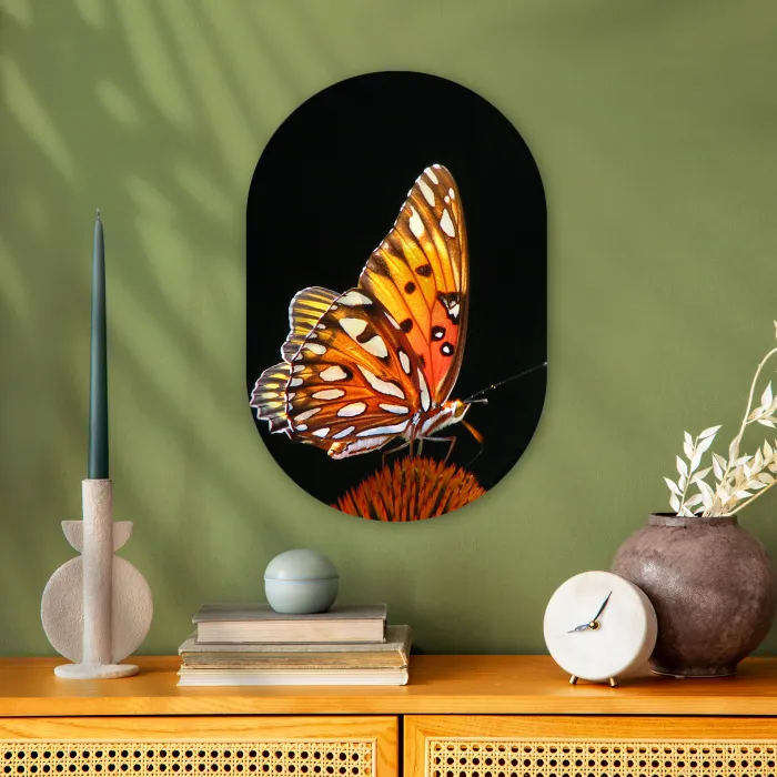 Vlinder - Bloemen - Insect - Portret - Zwart - Oranje Wandcirkel Ovaal Forex klein -sfeer2