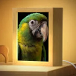 Ara - Portret - Groen Light Box met kabel (Kinderlampje) klein -zzzz_3d_website