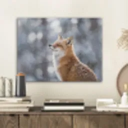Vos - Sneeuwval - Portret - Winter - Sfeervol PET vilt klein -sfeer1