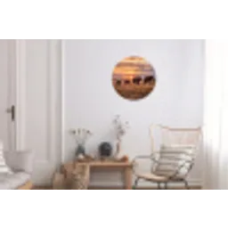 Olifanten - Savanne - Zonsondergang - Afrika - Warm Wandcirkel aluminium klein -woonkamer