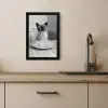Kat - Siamees - Zwart Wit - Schattig - Dieren KitchenYeah - Keuken - Fotolijst klein -sfeer2