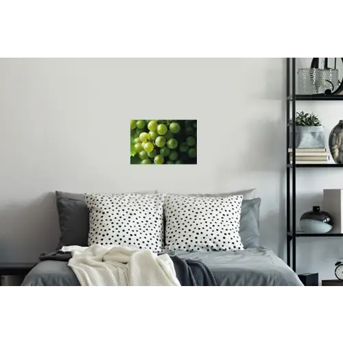 Druiven - Tros - Groen Muursticker klein -slaapkamer