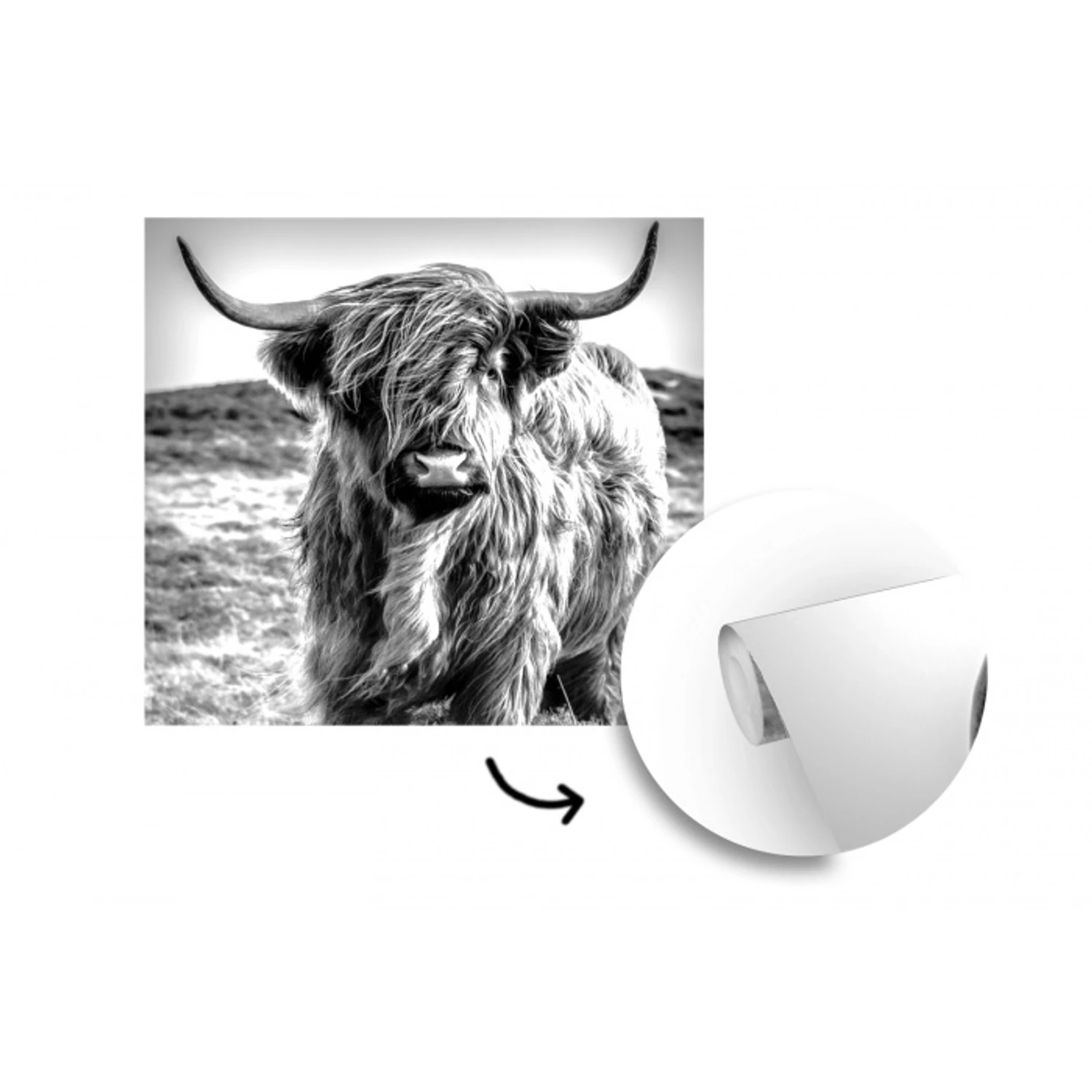 Schotse hooglander - Natuur - Koe - Zwart - Wit fotobehang vinyl groot -3d
