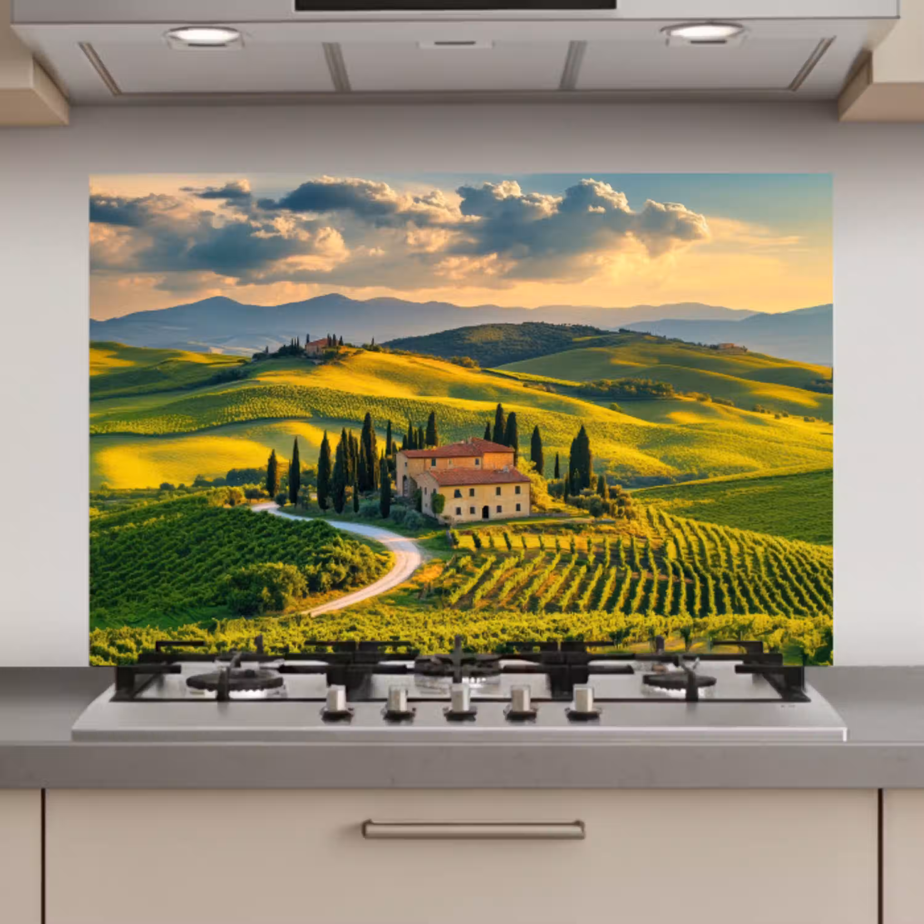 Toscane - Landschap - Wijngaarden keuken achterwand spatscherm klein -3d_website