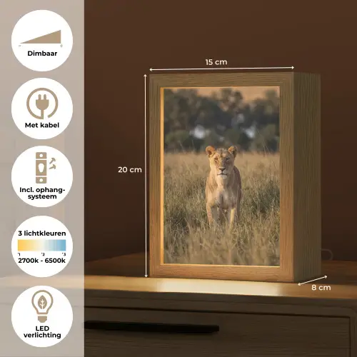 Leeuwin - Gras - Geel Light Box met kabel (Tafellamp) klein -USP_NL