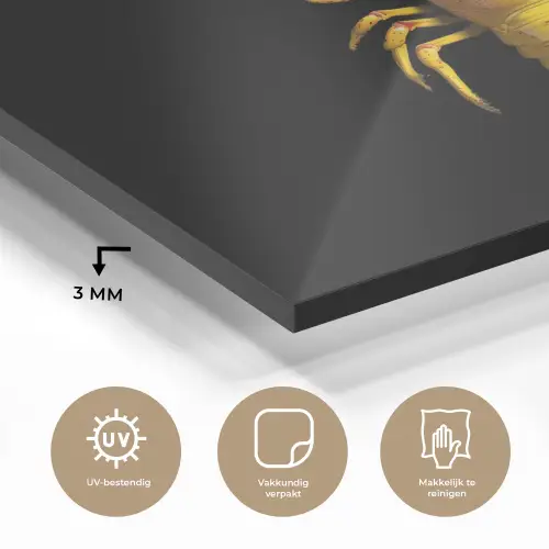 Kreeft - Geel - Stippen - Effen plexiglas 5mm klein -sfeer2