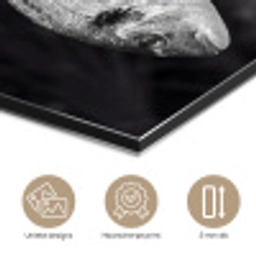 Vissen - Chef - Zwart - Wit aluminium wit klein -closeup_NL