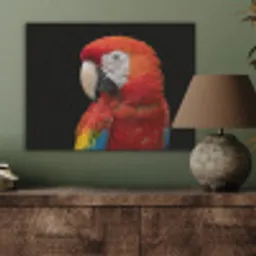 Ara - Portret - Rood PET vilt klein -sfeer2