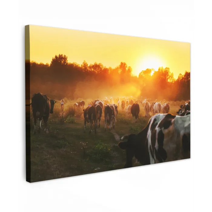 Koeien - Zonsondergang - Weiland - Dieren Tuinposter op houten frame 2 cm dik klein -3d