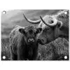 Schotse hooglander - Kalf - Zwart - Wit tuinposter los doek klein -3d