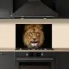 Leeuw - Portret - Zwart - Dieren keuken achterwand spatscherm klein -sfeer1