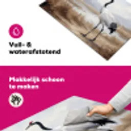 Kraanvogel - Natuur - Realistisch Inductie beschermer vinyl 3mm klein -wsfeer6_website