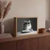 Langharige kat - Zonnebril - Spaghetti - Humor - Zwart - wit Light Box met batterij (Wandlamp) middel -sfeer2