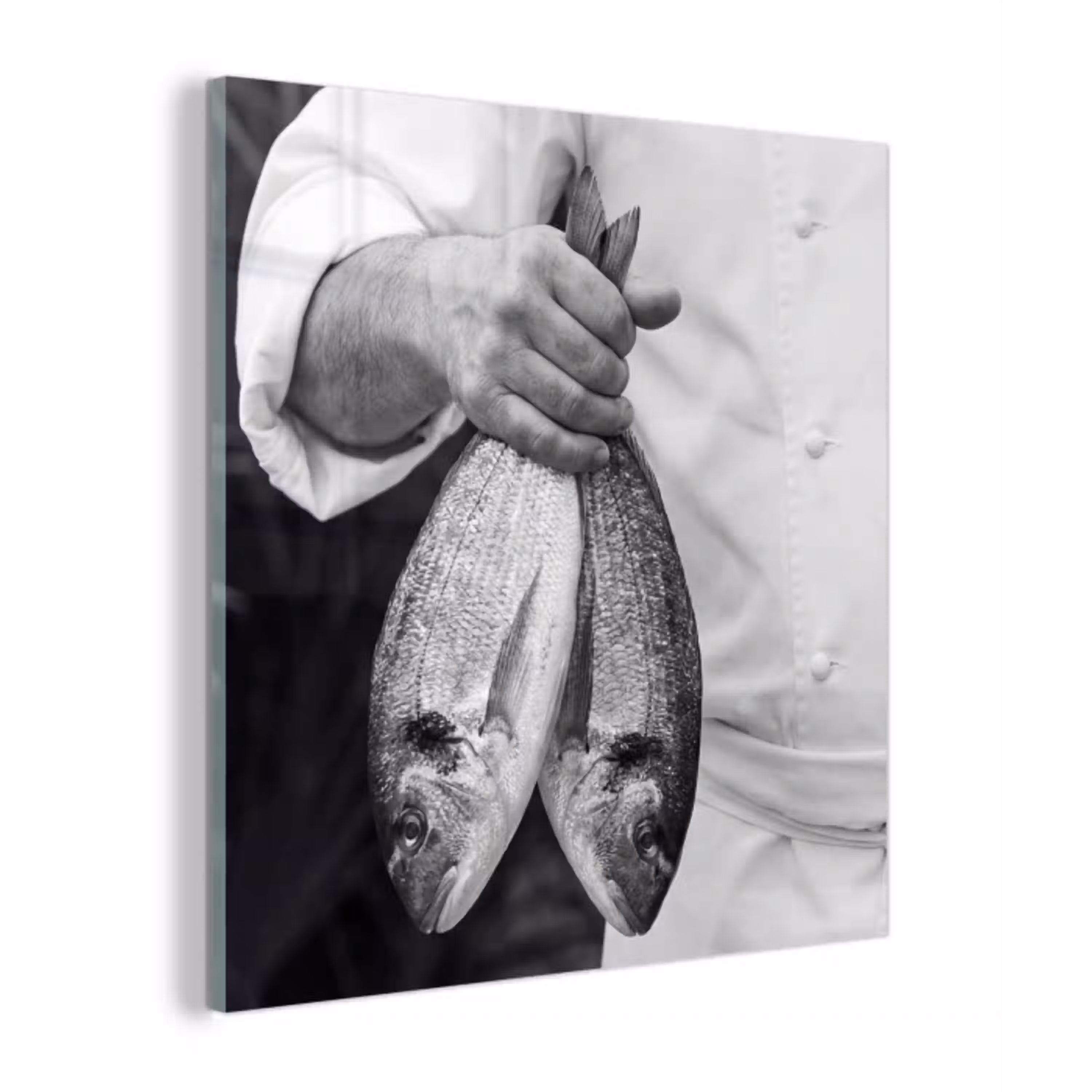 Vissen - Chef - Zwart - Wit plexiglas 5mm klein -z3d