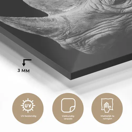 Dieren - Neushoorn - Zwart - Wit - Portret plexiglas 5mm klein -sfeer2