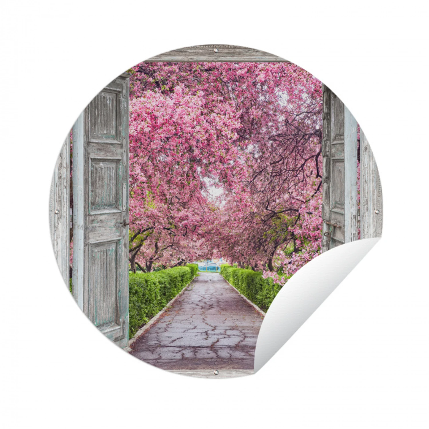 Sakura - Doorkijk - Boom - Kersenbloesem Wandcirkel tuinposter met ringen klein -3d