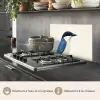Illustratie - Blauw - Vogel keuken achterwand spatscherm klein -usp_FR