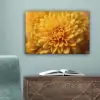 Geel - Chrysant - Zachtheid canvas 2cm klein -sfeer4