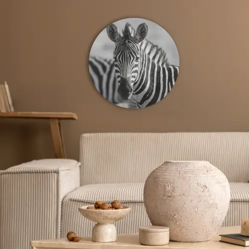 Zebra's - Zwart - Wit Akoestische PET Vilt - Rond klein -sfeer1