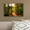 Bos - Pad - Bomen - Groen - Zon - Natuur canvas 2cm klein -sfeer3