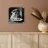 Hond - Bulldog - Pasta - Bril - Stoer - Dieren plexiglas 5mm klein -sfeer5