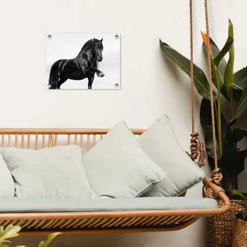 Fries - Hengst - Modern tuinposter los doek klein -sfeer7