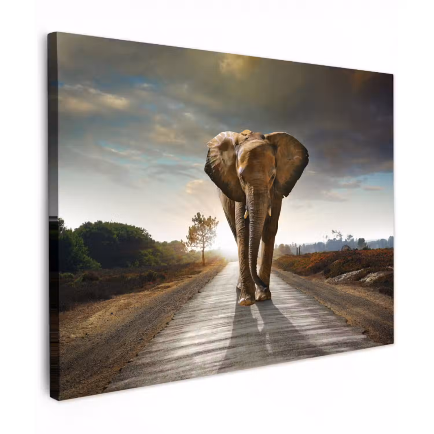 Leinwandbild - Elefant - Straße - Tiere - Sonnenuntergang - Landschaft