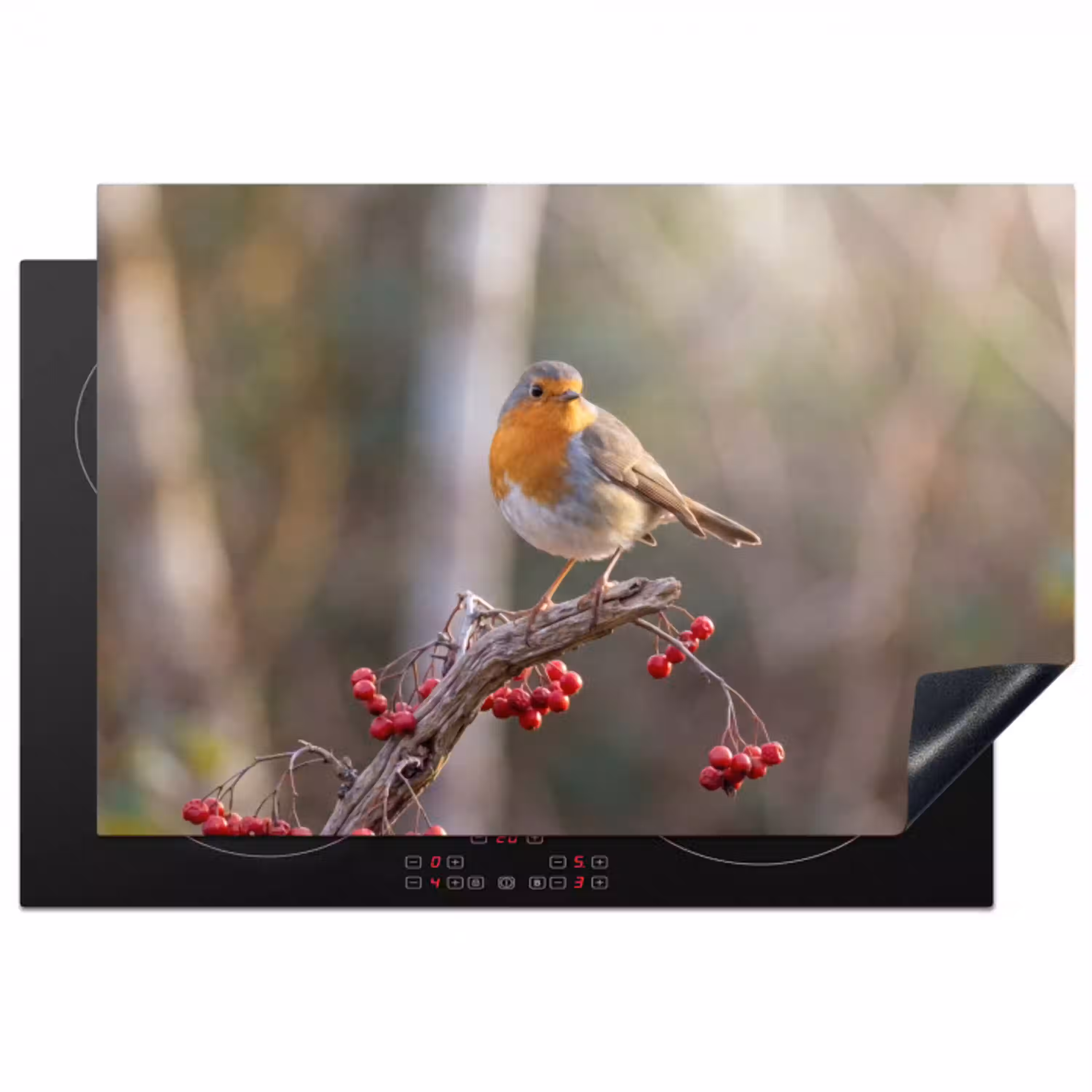 Roodborst - Tak - Bessen - Natuur Inductie beschermer vinyl 3mm klein -3d