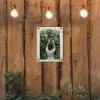 Boom - Appels - Plukken - Natuur tuinposter los doek klein -sfeer1