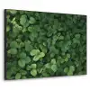 Groen - Bladeren - Kartel - Zonlicht Textielframe zwart klein -3d