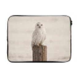 Sneeuwuil - Paal - Winter - Portret - Majestueus laptophoes neopreen klein -3d