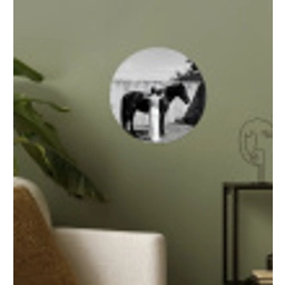 Vrouw - Paard - Artistiek Wandcirkel behangsticker klein -sfeer2