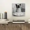 Kat - Siamees - Zwart Wit - Schattig - Dieren plexiglas 5mm klein -sfeer1