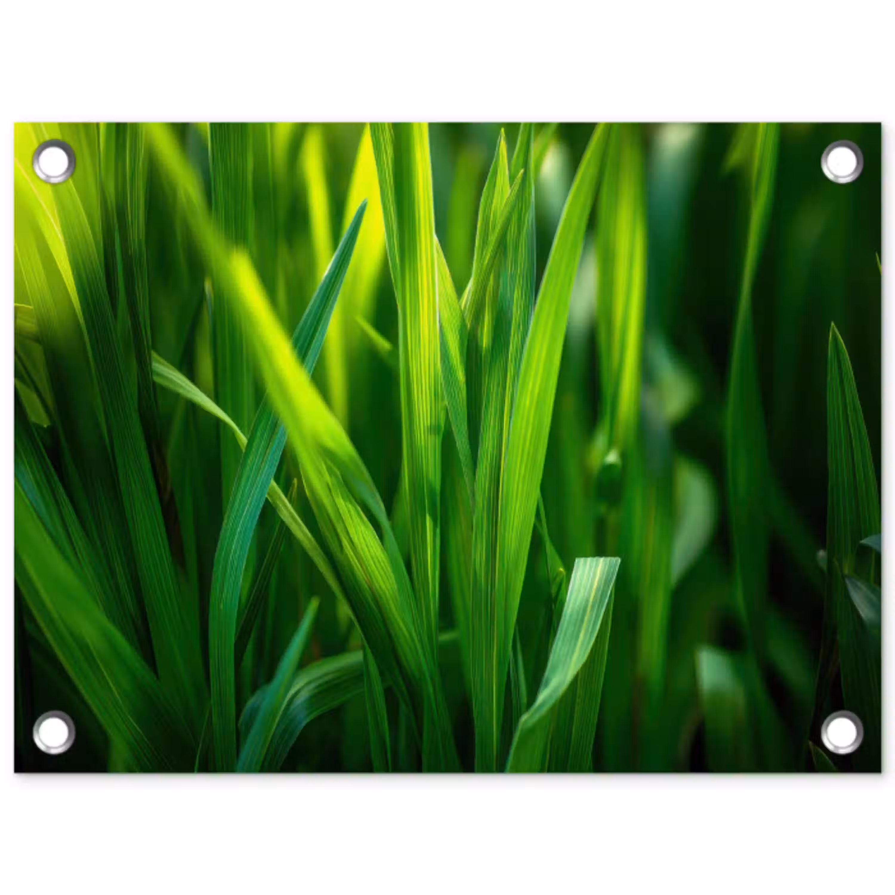 Grassprieten - Lichtinval - Groen tuinposter los doek klein -3d