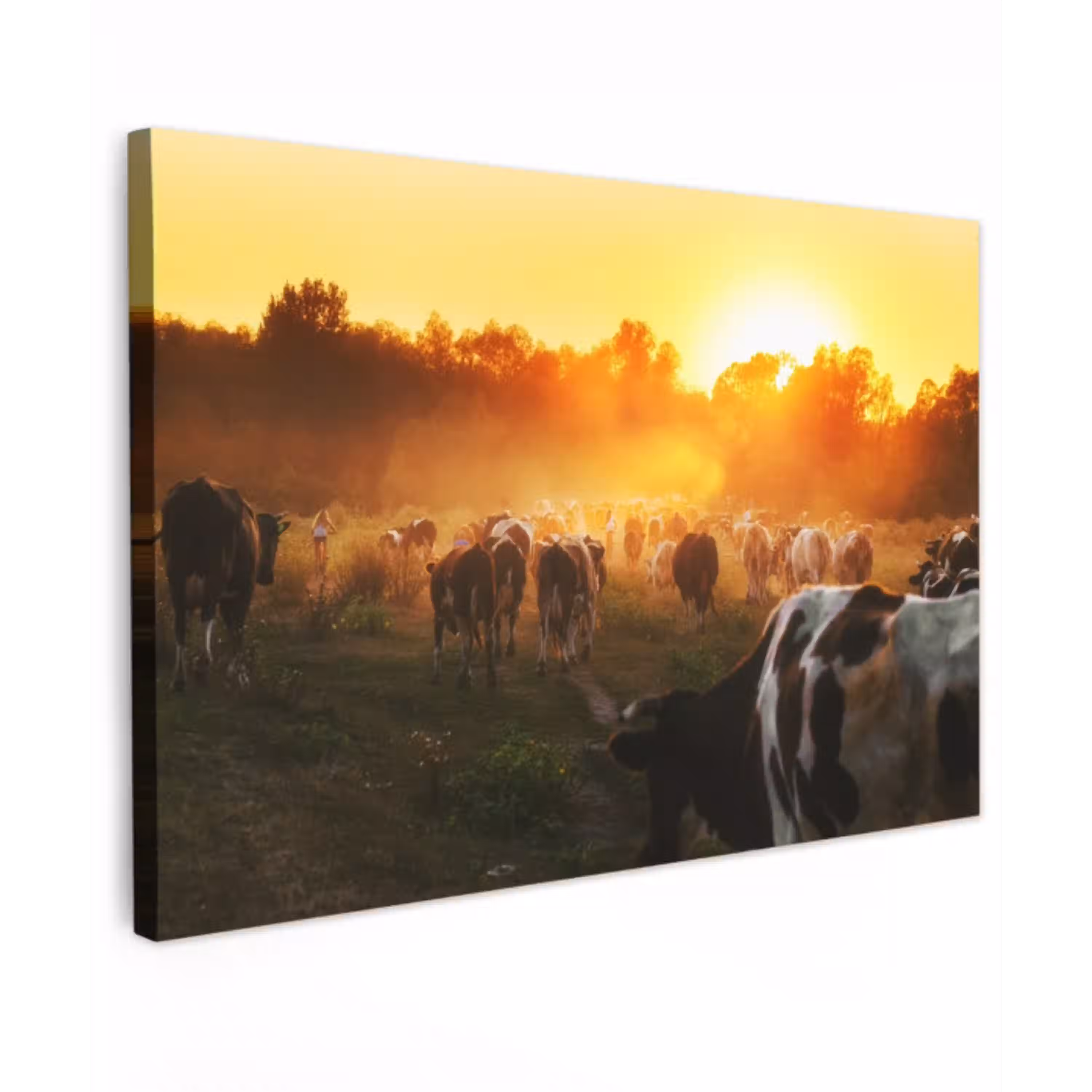 Koeien bij Zonsondergang Tuinposter op houten frame 2 cm dik klein -3d