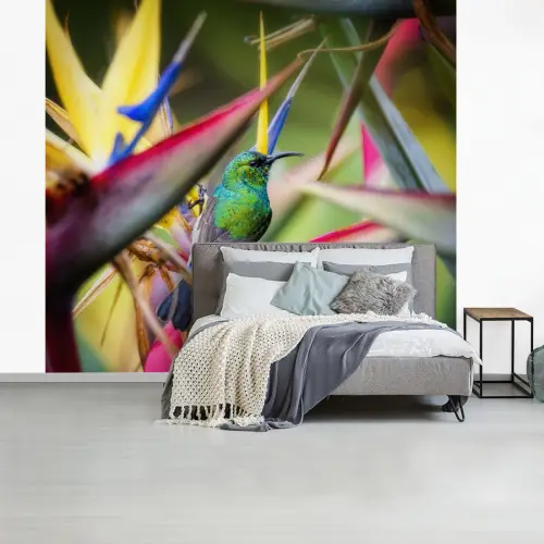 Kleurrijke vogel tussen allemaal kleurrijke platen fotobehang vinyl groot -slaapkamer