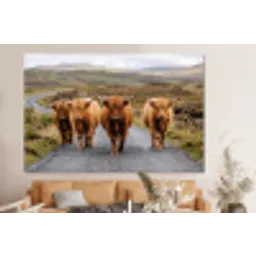 Schotse Hooglanders - Weg - Landschap - Kudde forex 5mm xxl -bovenbank