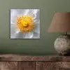 Wit - Bloem - Elegant aluminium wit klein -sfeer2
