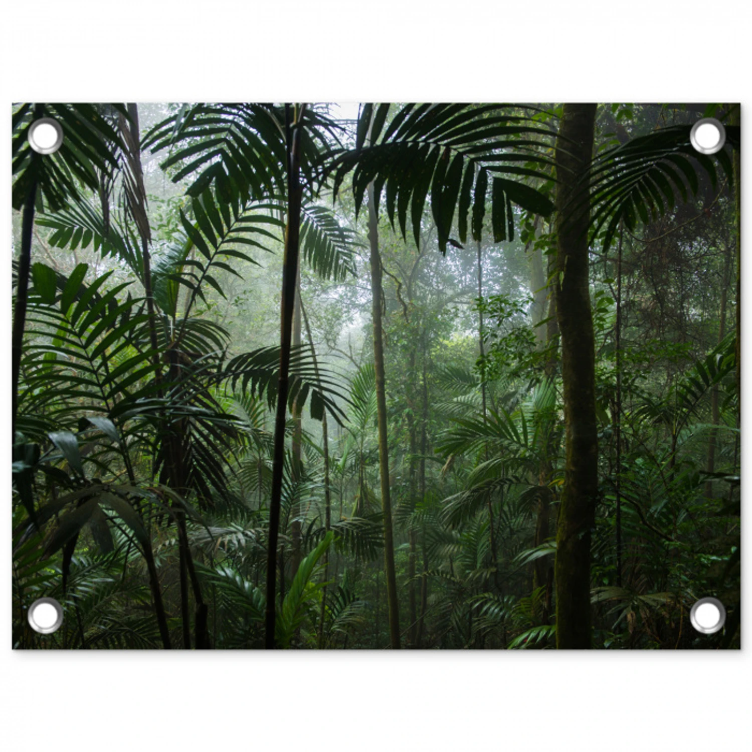 Mysterieuze Tropische Woud tuinposter los doek klein -3d