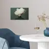 Hoed - Vrouw - Beige poster papier klein -sfeer3