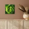 Groente - Sla - Groen aluminium wit klein -sfeer4