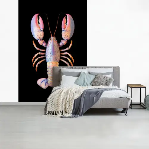 Kreeft - Roze - Zacht - Zwart fotobehang vinyl groot -slaapkamer