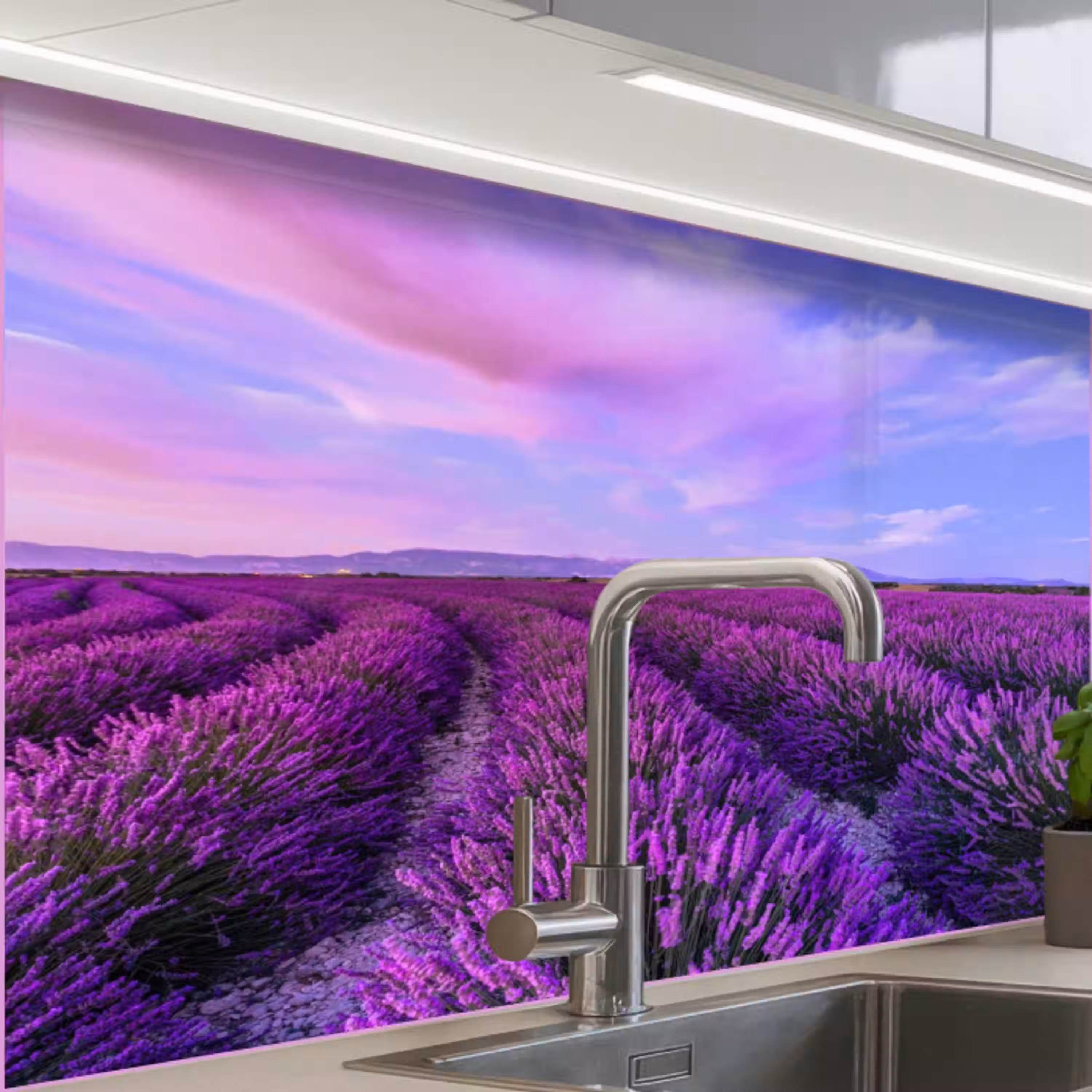 Lavendel - Paars - Bloemen - Natuur keuken achterwand 2 middel -zzzz3d_schuin