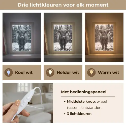 Schotse hooglander - Zwart - Wit - Sneeuwvlokken Light Box met kabel (Tafellamp) klein -USP_lichtkleurNL