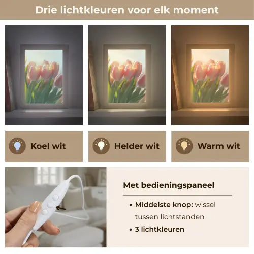 Tulpen - Roze - Zonnestralen Light Box met kabel (Tafellamp) klein -USP_lichtkleurNL