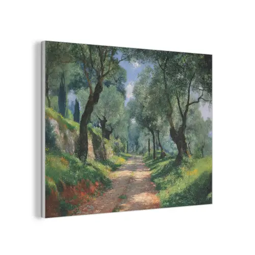 Pad - Bomen - Schaduw - PET vilt klein -3d