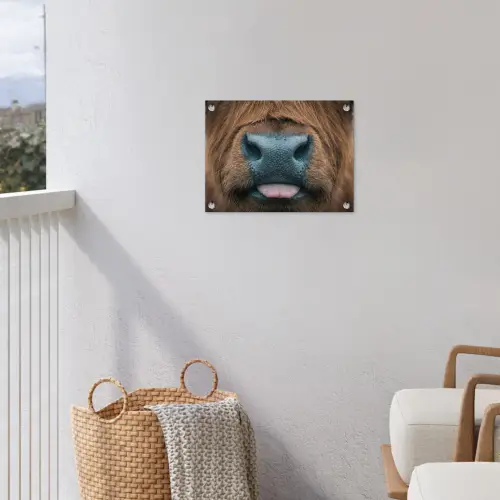 Schotse hooglander - Neus - Bruin tuinposter los doek klein -sfeer8