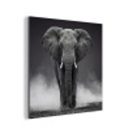 Olifant - Zwart - Wit - Rook aluminium wit klein -3d