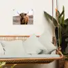 Schotse hooglander - Landschap - Koe - Bruin - Dieren - Natuur tuinposter los doek klein -sfeer7
