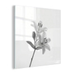 Lelies - Elegant - Zwart - Wit plexiglas 5mm klein -z3d